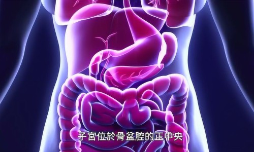 大腿吸脂快吗-大腿吸脂效果不好网- 大腿吸脂后多久消肿变瘦知识,分享大腿吸脂